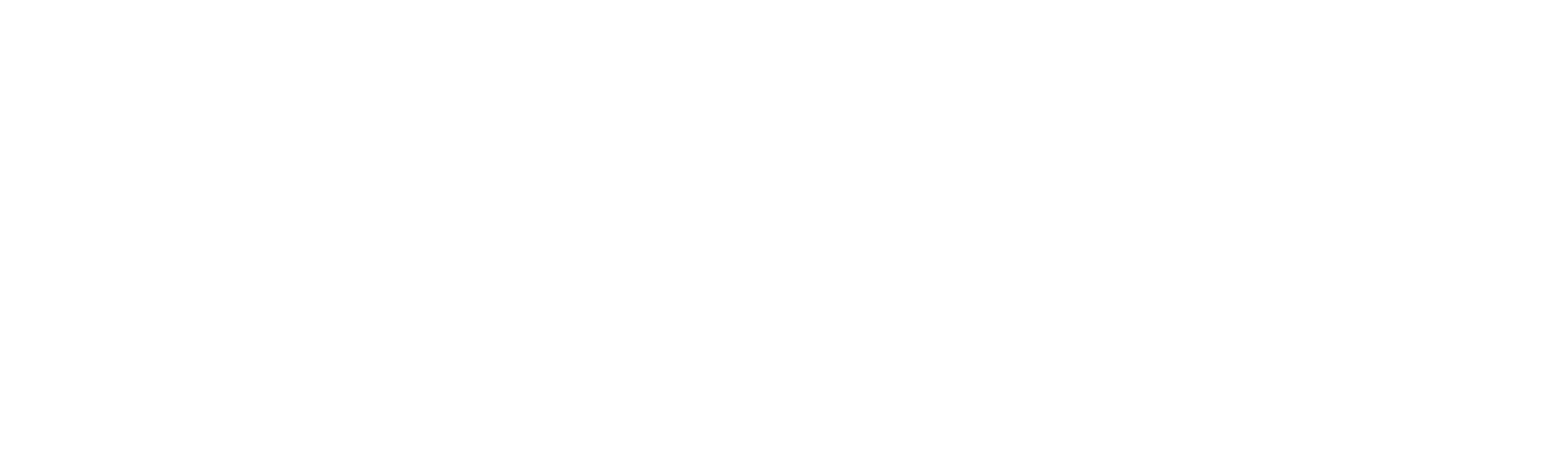 Digimies logo vaaka